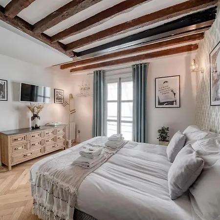 Ultra Historical Parisian Flat - Louvre Paris