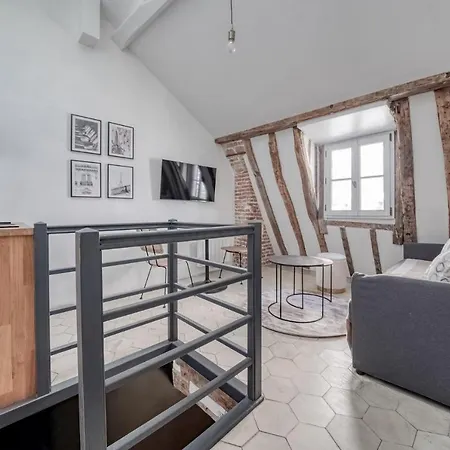 Ultra Historical Parisian Flat - Louvre