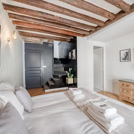Ultra Historical Parisian Flat - Louvre *