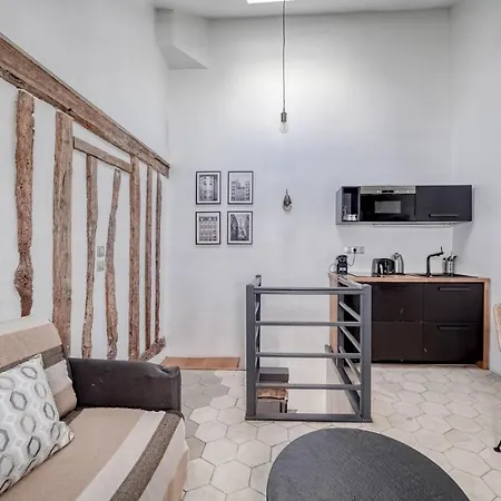 Ultra Historical Parisian Flat - Louvre Apartment Paris