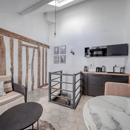 Ultra Historical Parisian Flat - Louvre Paris