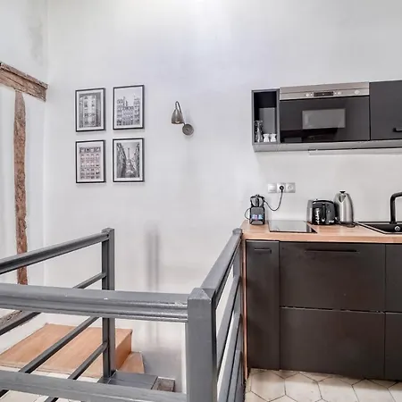 Ultra Historical Parisian Flat - Louvre Paris