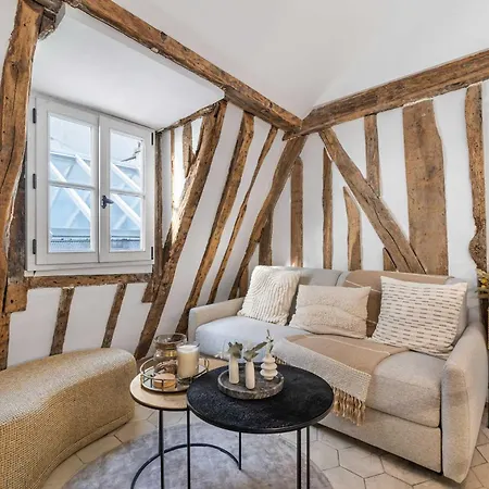 Ultra Historical Parisian Flat - Louvre Paris