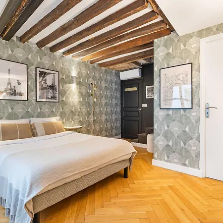 Ultra Historical Parisian Flat - Louvre