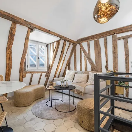 Ultra Historical Parisian Flat - Louvre Apartment *