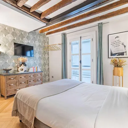 Ultra Historical Parisian Flat - Louvre Παρίσι