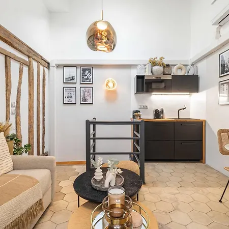Ultra Historical Parisian Flat - Louvre Apartment