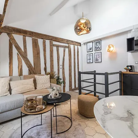 Ultra Historical Parisian Flat - Louvre Paris