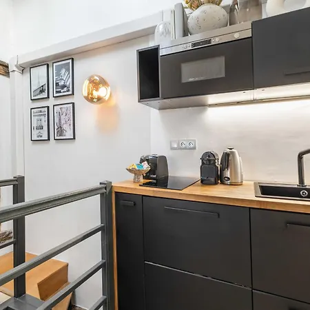 Ultra Historical Parisian Flat - Louvre Apartment