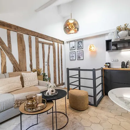 Apartamento Ultra Historical Parisian Flat - Louvre